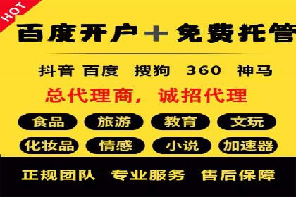 百度竞价推广在电商领域的赚钱案例